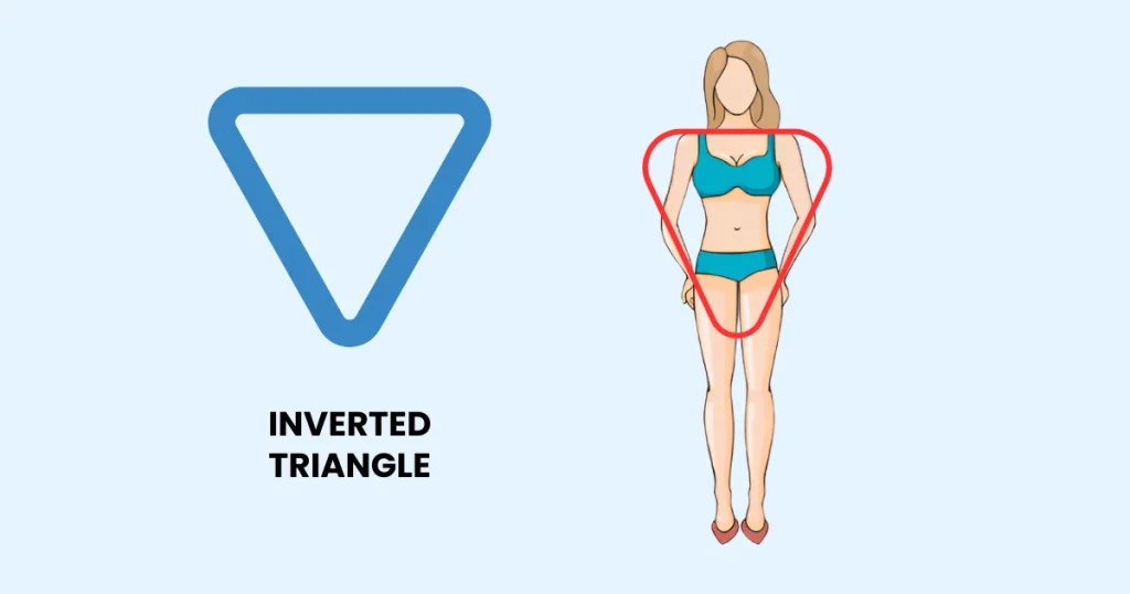 Inverted Triangle Body Type